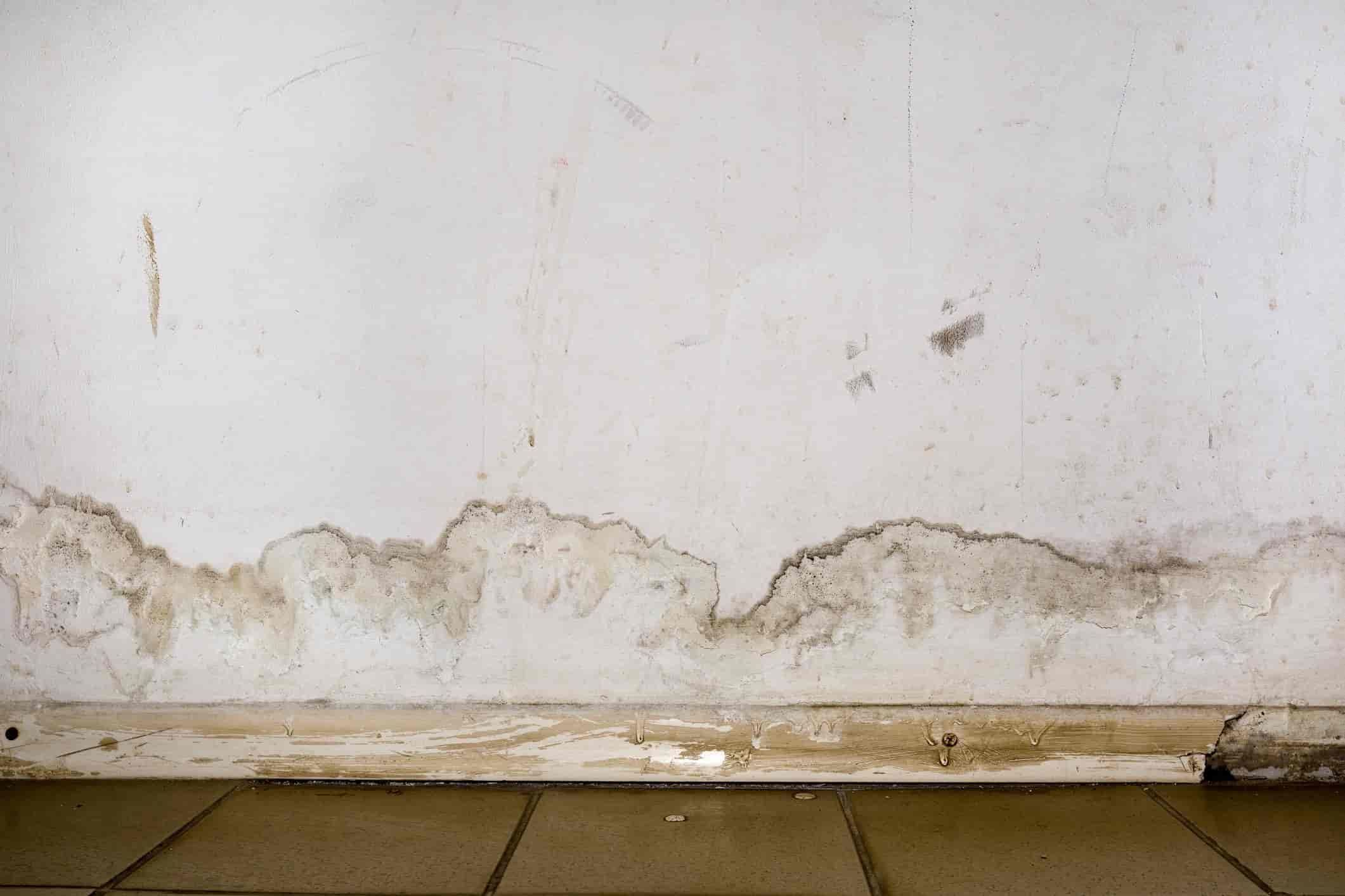 damp patch kitchen wall